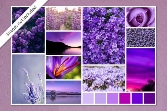 Download Photo Collage Moodboard Template Purple - Moodboard Collection