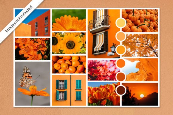 Download Orange Photo Collage Moodboard Template - Moodboard Collection
