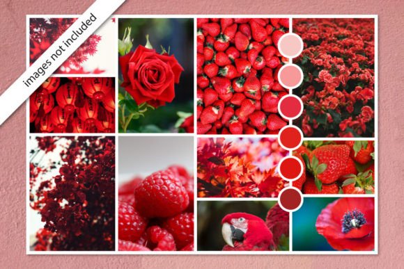 Download Photo Collage Moodboard Template in Red - Moodboard Collection